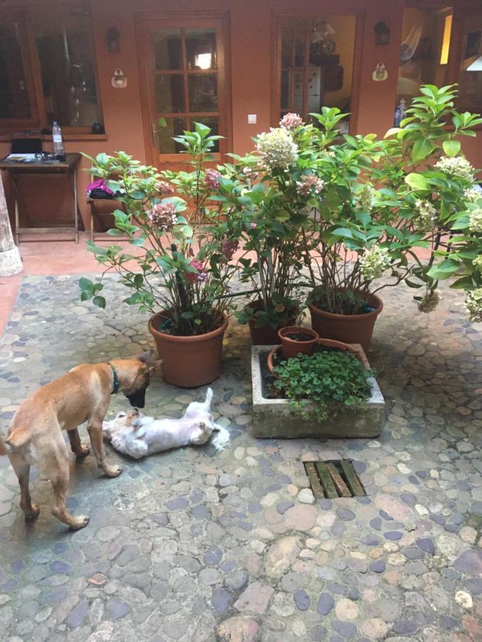 Вилла Casa Deogracias Veguellina de Orbigo Экстерьер фото